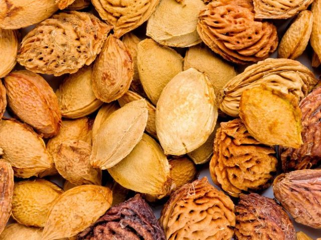 Noyaux de fruits